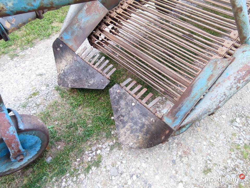 Kopaczka elewatorowa do xiemniaków sprzedam