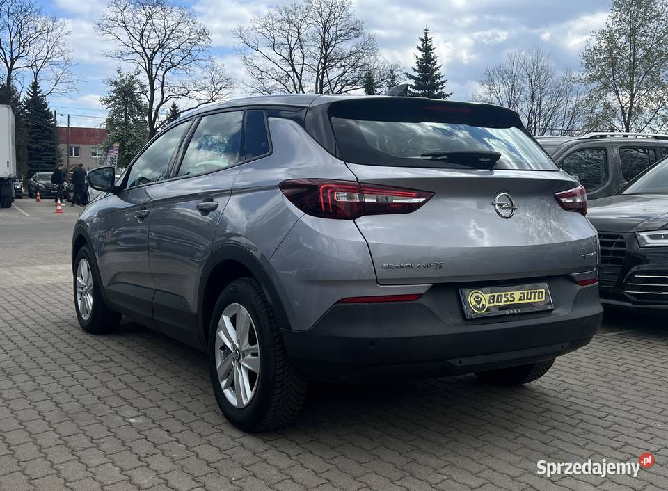 Opel Grandland X 2019