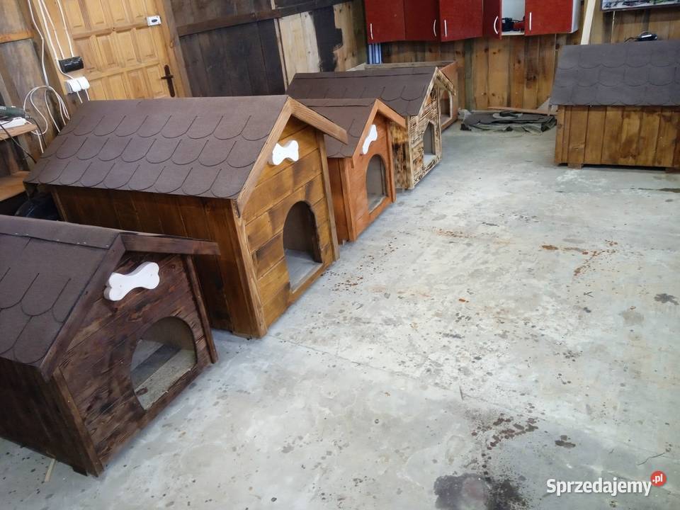 Buda psa 576921028 Mokrelipie