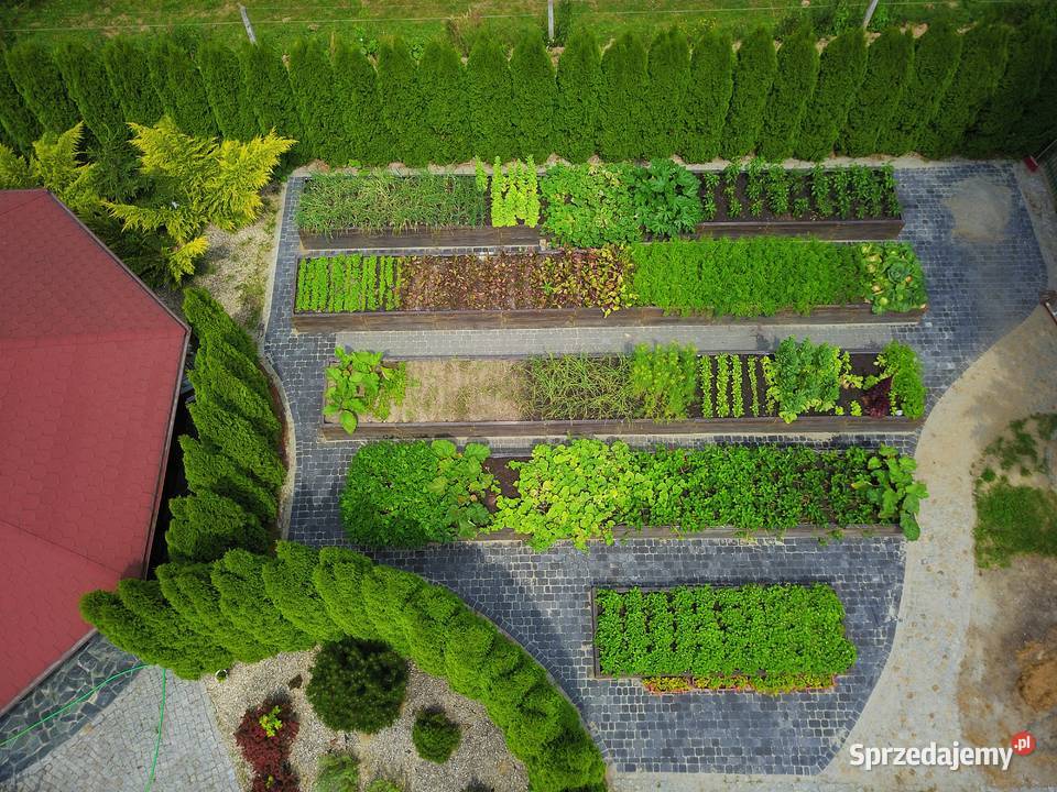 Warzywnik betonowy Skrzynia na warzywa świętokrzyskie Kielce