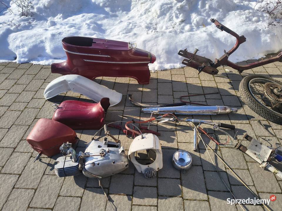 Jawa kaczka pancerka podkarpackie Rzeszów