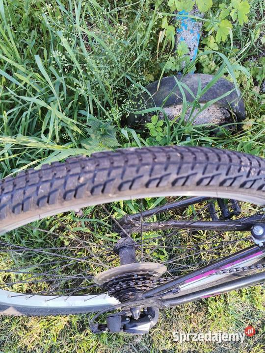 GIANT LIV 26 MTB rama xs aluminium Górskie, MTB Krosno Odrzańskie