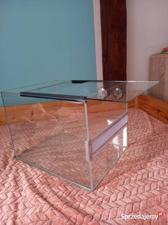 Terarium Terrarystyka