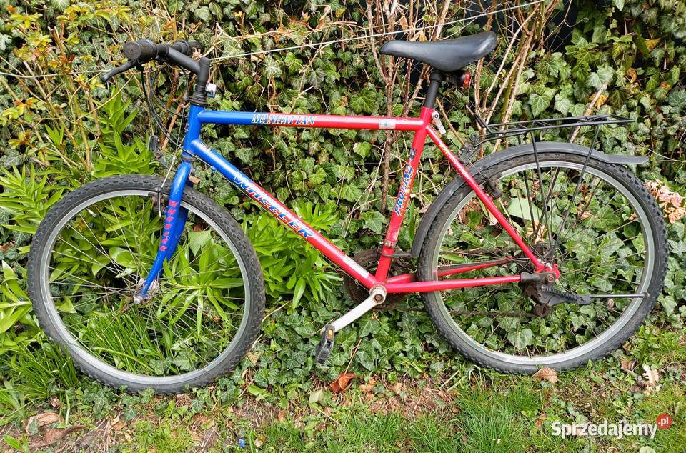 Rower Wheeler Tomaszów Mazowiecki