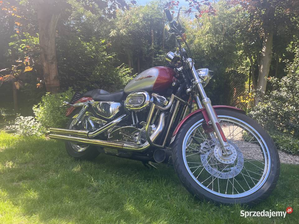 Harley Dawidson XL1200C Warszawa