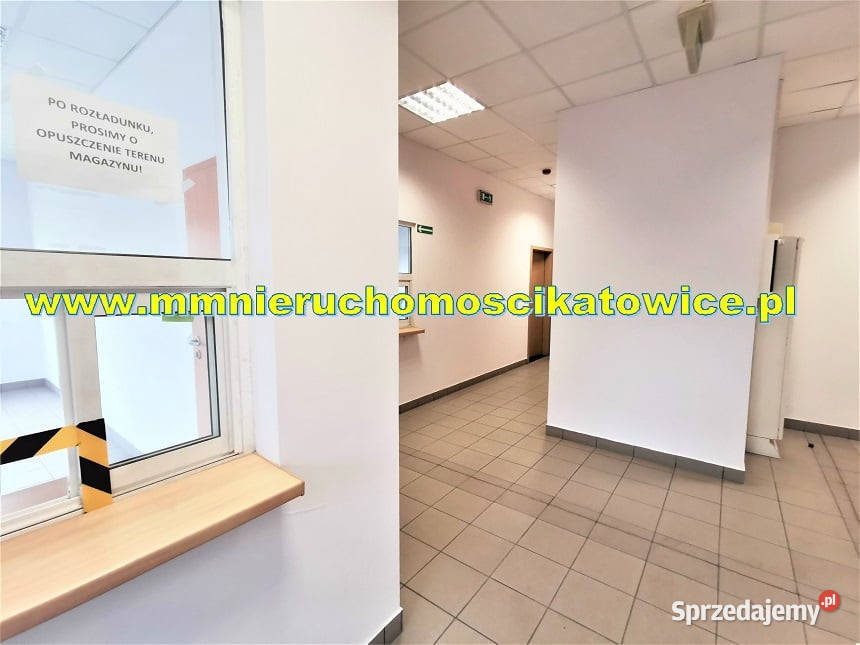 Magazyny do wynajęcia 200 10000 m2 Będzin wysoki