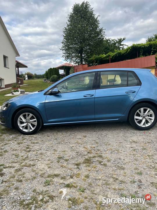 Volkswagen Golf 7 16 TDI kupiony w Polsce Sędziszów Małopolski