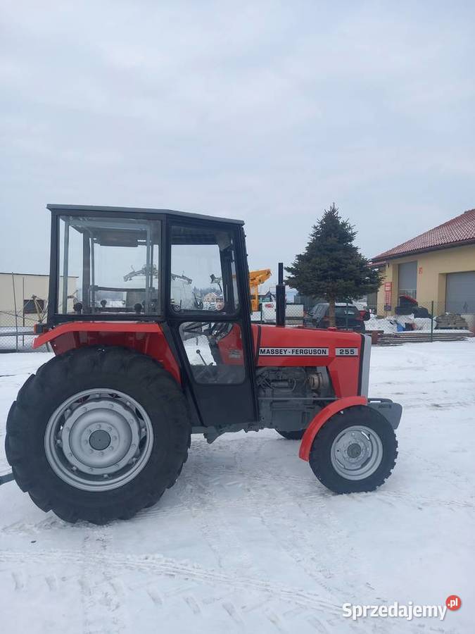 Massey ferguson 255 Pilzno