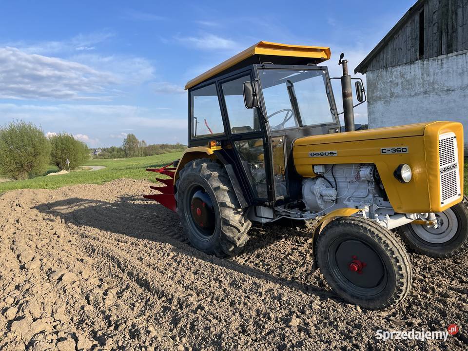 Sprzedam Ursus Zetor 4011 Zetor Grabowo