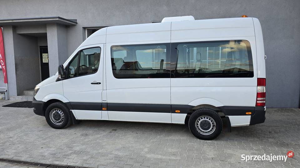 MercedesBenz Sprinter 906213 BlueEFFICIENCY