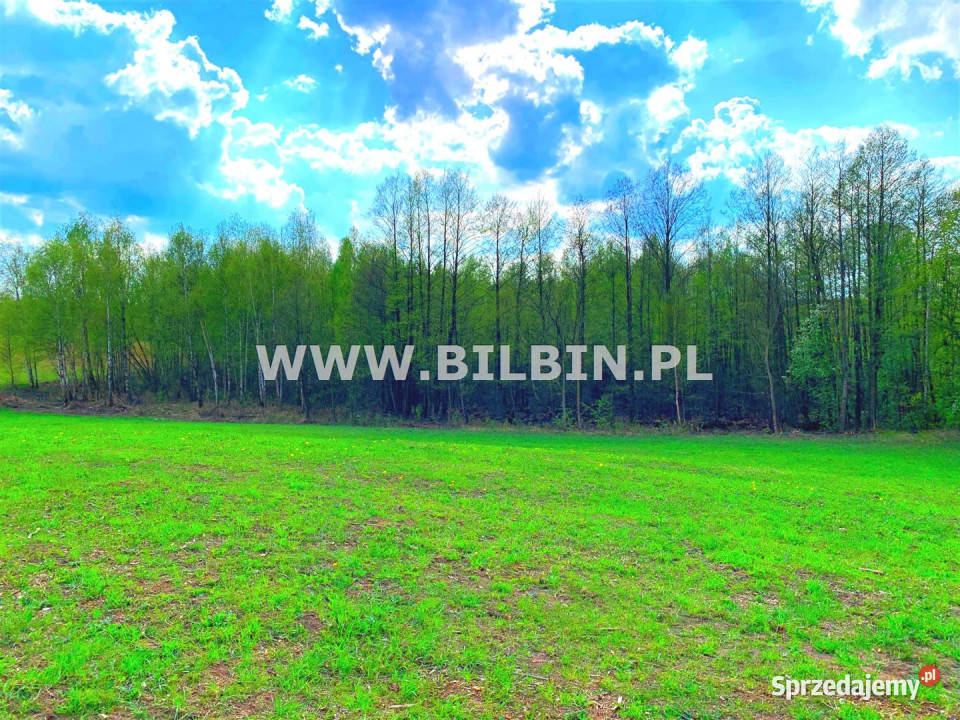 Ogłoszenie grunt Czarna Buchta 44542m2 podlaskie