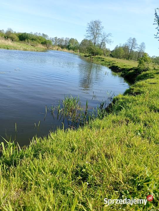 Działki