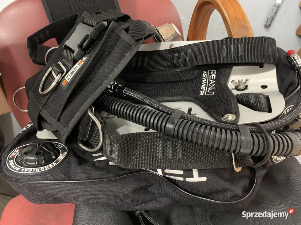 Skrzydło Tecline Penaut 16 śląskie Siemianowice Śląskie