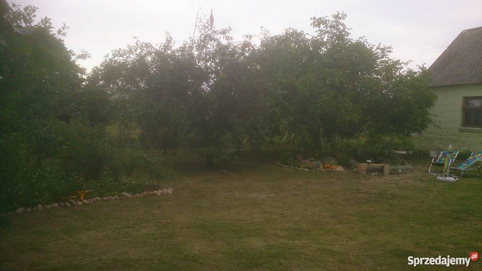 DOM SIEDLISKO powiat MLAWA ogródek Liberadz sprzedam