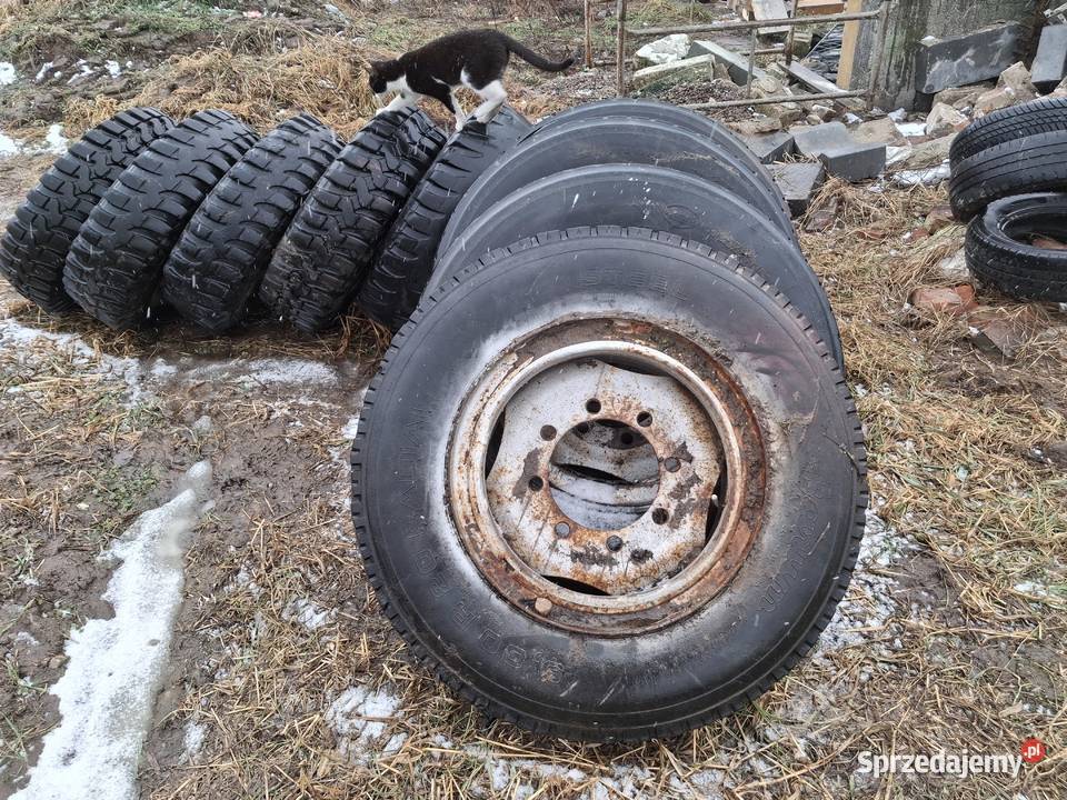 Koła łódzkie Wiewiec