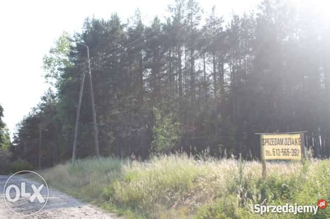 działka budowlana kasparus Kasparus