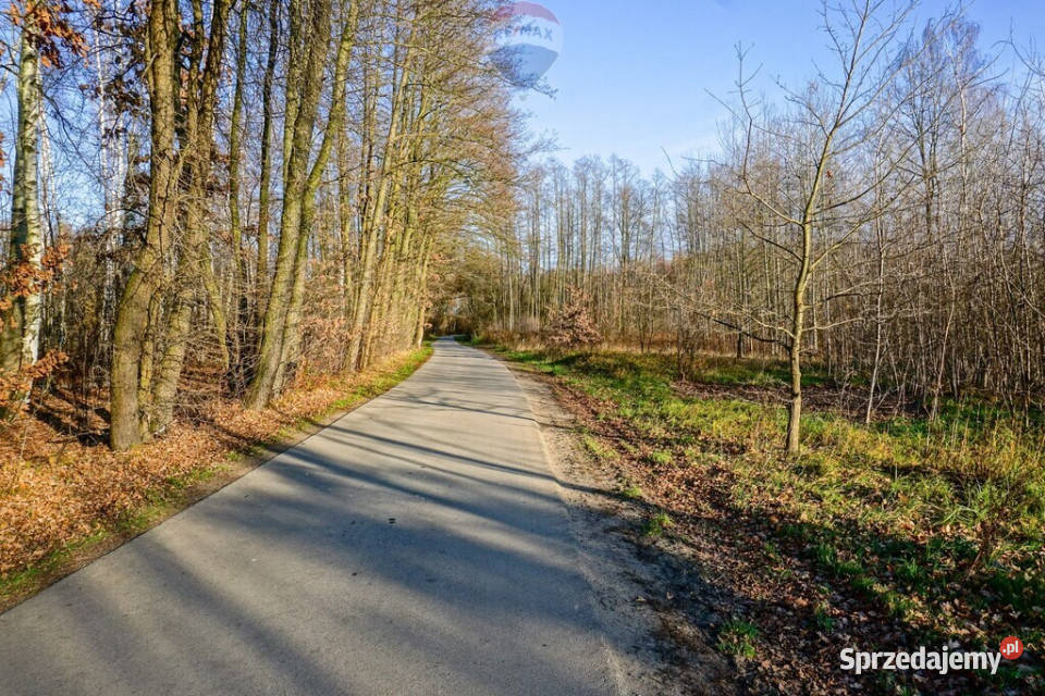 Działka budowlana 1002m2 Grądy k Żyrardowa Nieruchomości sprzedam