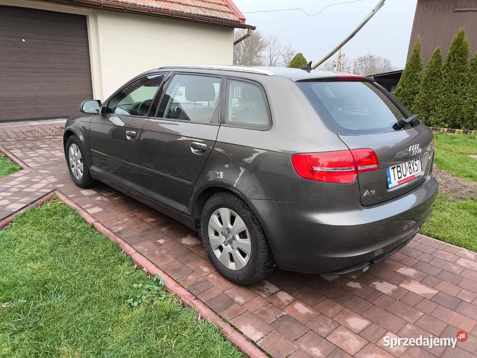 19 TDI 105 Diesel Nawigacja Klimatyzacja świętokrzyskie Pińczów