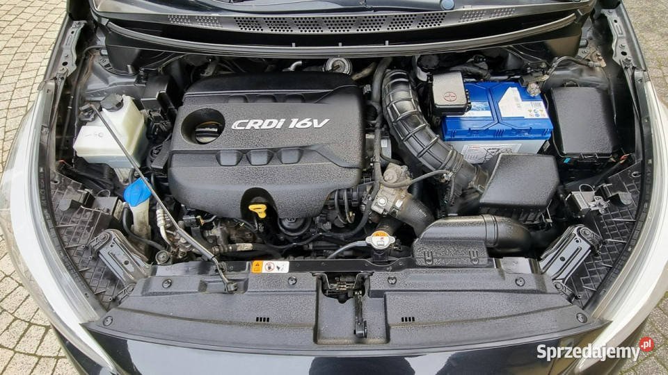 Kia Ceed Pakiet Zima Prosty Silnik 6 Bieg centralny zamek Płońsk