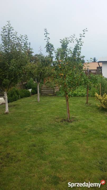 Sprzedam działkę ROD Port Centralny Szczecin