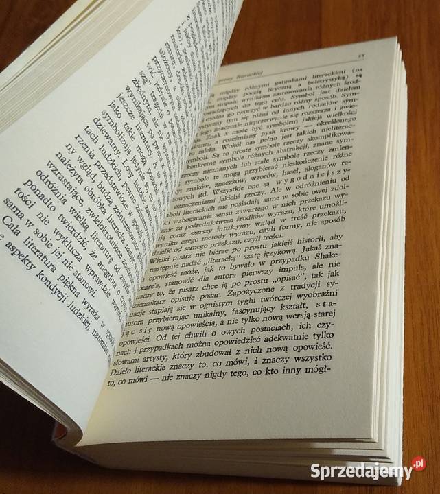 Krytyk i jego światy szkice literackie David