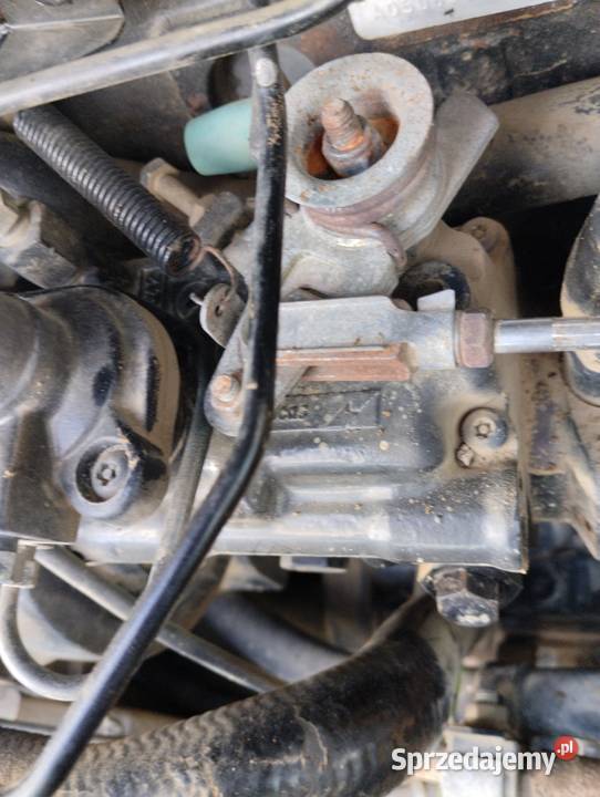 Silnik bizon Moderówka