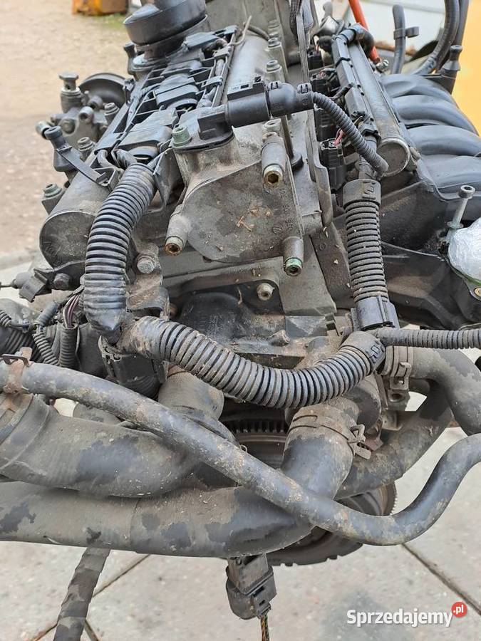 udi Volkswagen 16 16v 105 silnik kod AZD AUS ATN Silniki i osprzęt Motoryzacja śląskie Jastrzębie-Zdrój