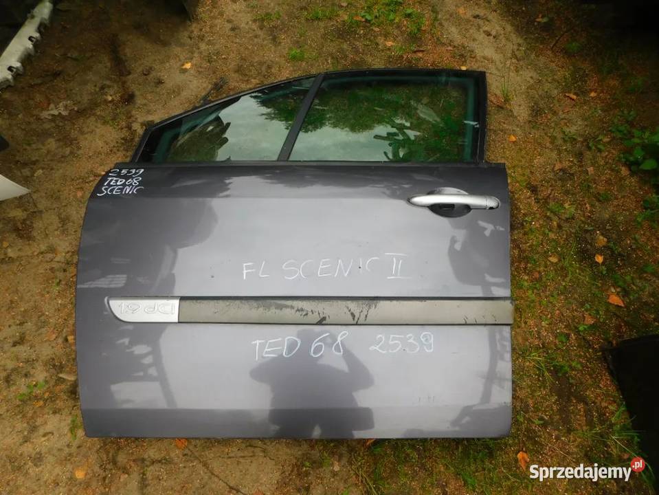 scenic II drzwi kolor TED68 2539 WYSYŁKA