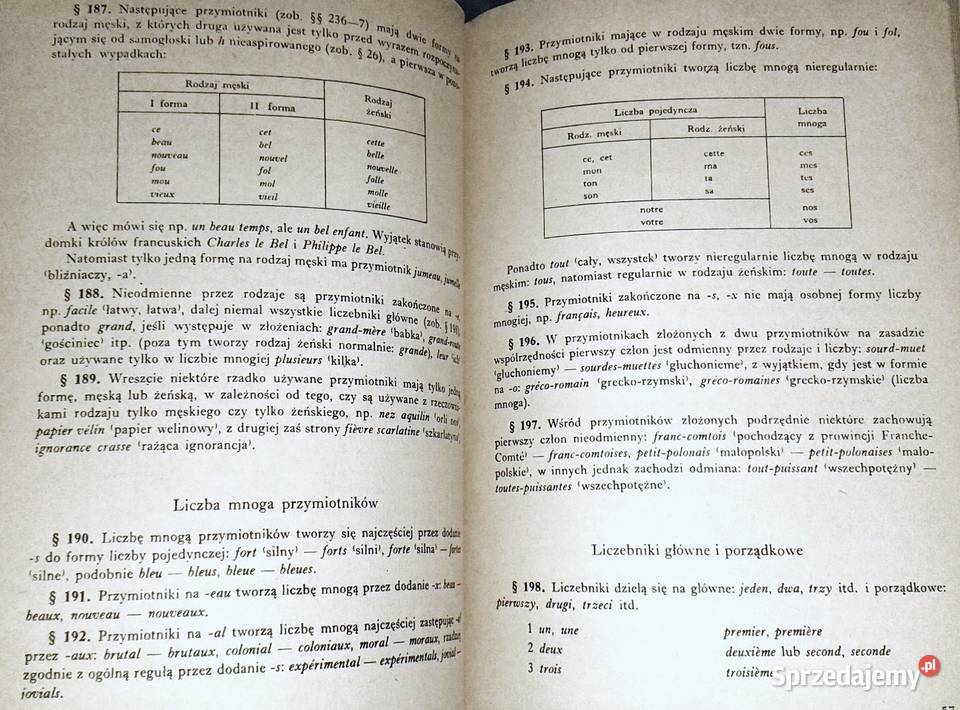 Gramatyka francuska Witold Mańczak miękka