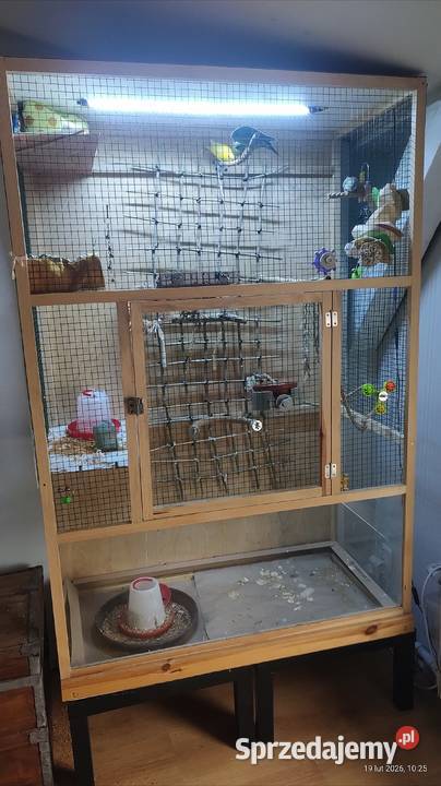 Papużki stokówki katarzynki razem z woliera Gniewkowo