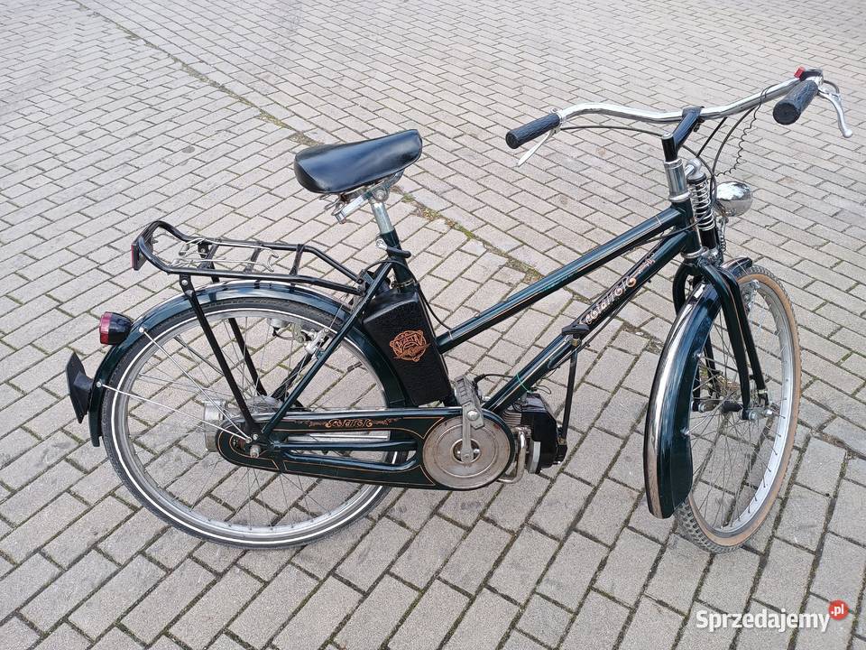 Bicicletta Pizeta Scoiattolo rower z silnikiem