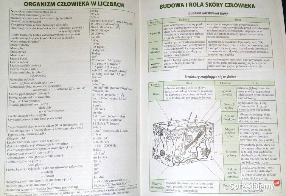 Biologia Małe tablice W Mizerski B Bednarczuk