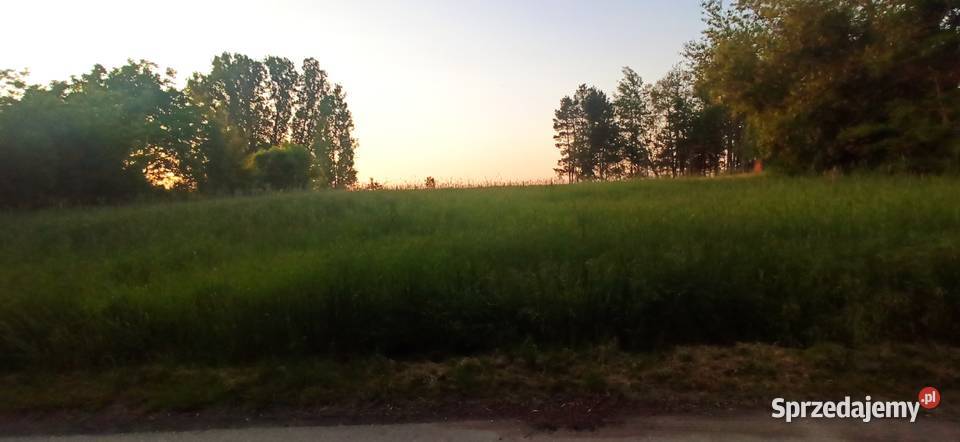 Działka rolnobudowlana WZ 7700m2 Skotniki Małe