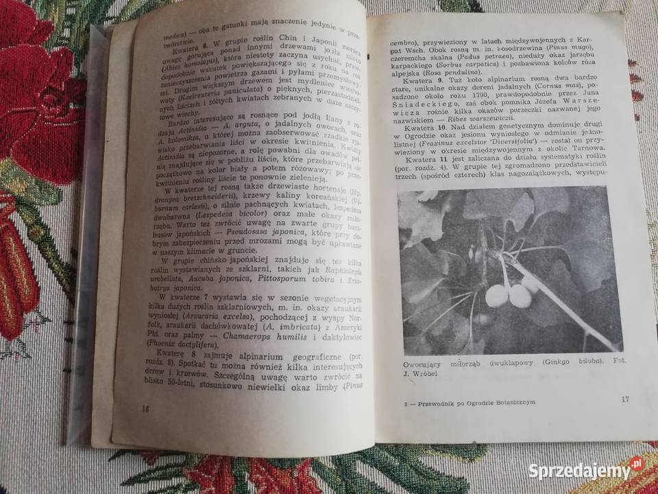 Przewodnik ogrodzie botanicznym UJ Kazimierz przewodnik