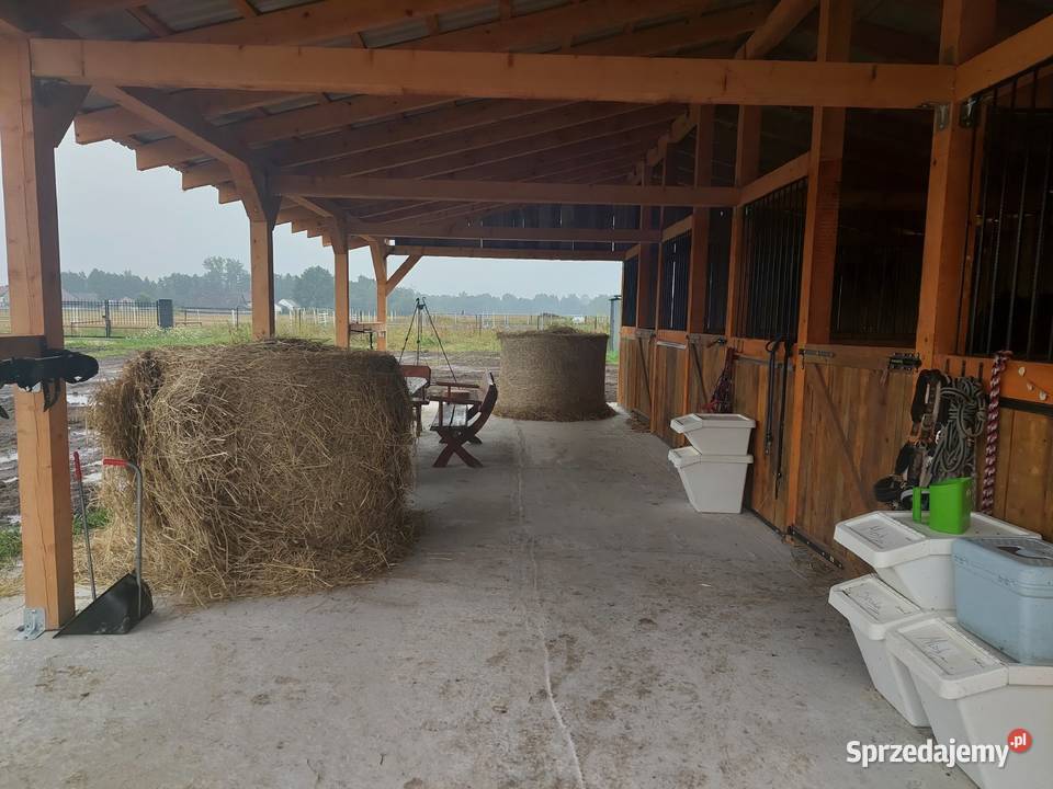 Stajnia do demontażu Dąbrowa Tarnowska