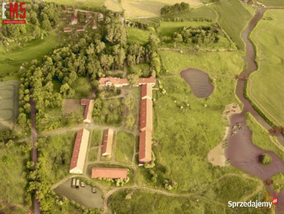 sprzedaży domu wolnostojącego Korsze 110000m2 Rok budowy 1830 sprzedam