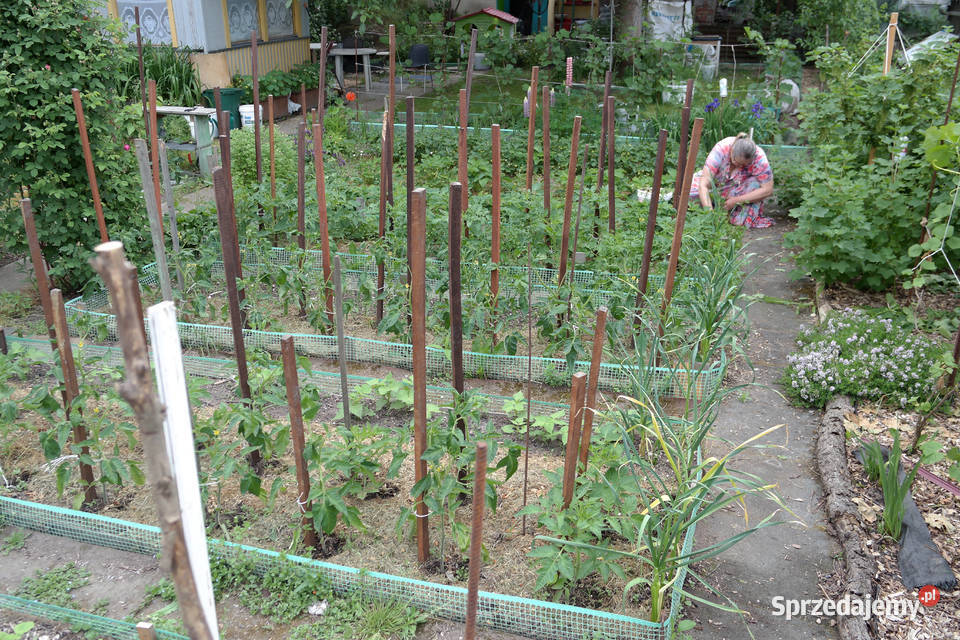 Sprzedam działkę ROD Lotnik Stachowicka Wrocław