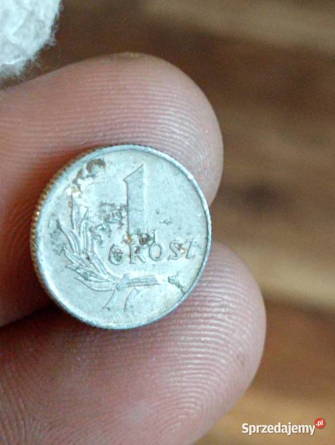 Sprzedam piaty 1 grosz 1049 r bzm lubelskie Chełm