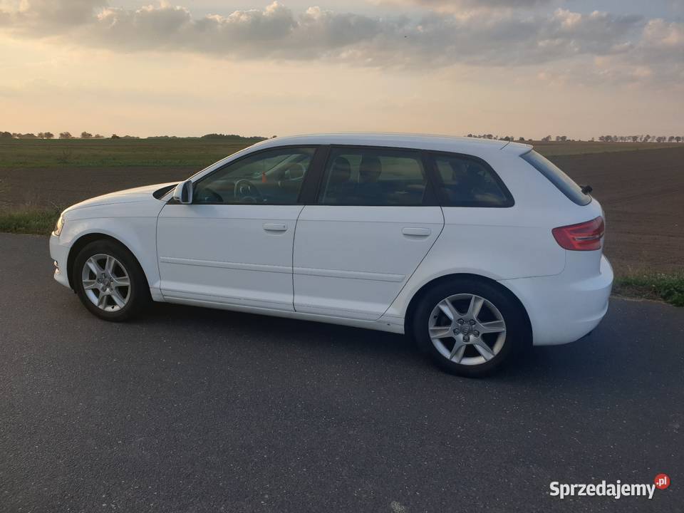 Audi A3 II 8P 14T 2009 144 SPORTBACK Zarejestrowany w Polsce Chełmno