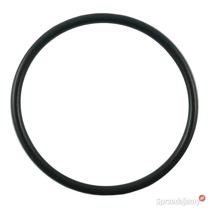 Oring 4460 x 260 mm LS MT125 AS568132 TRG270 podkarpackie Tajęcina