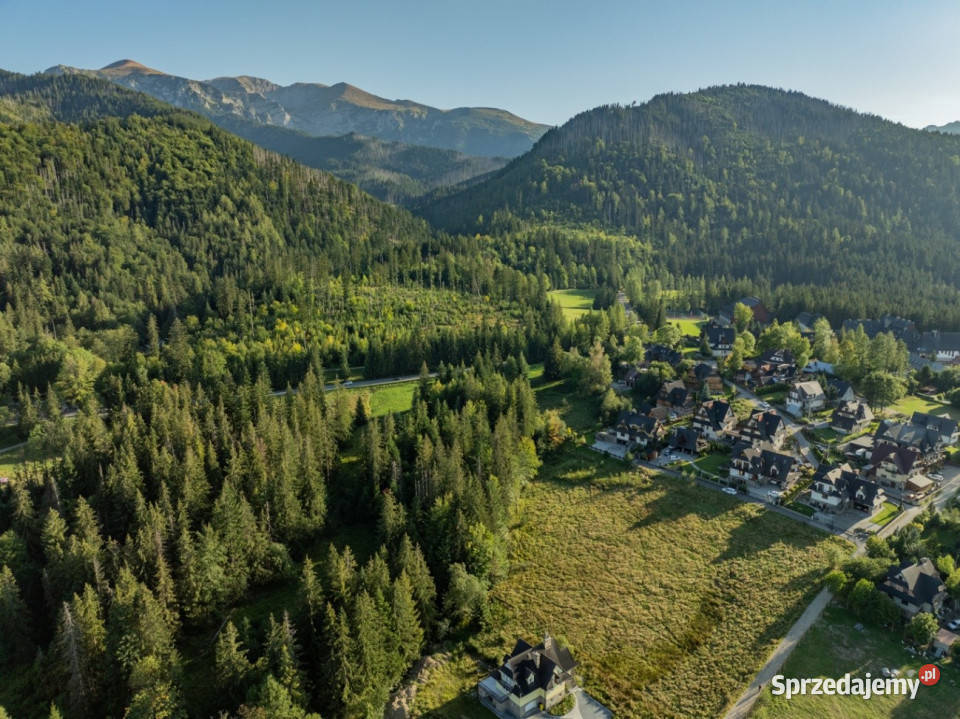 Działka RolnoLeśna 2784 m Kościelisko Gronik