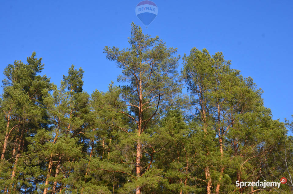 Działka rolnoleśna na sprzedaż 23766 ha Mariew Sprzedaż