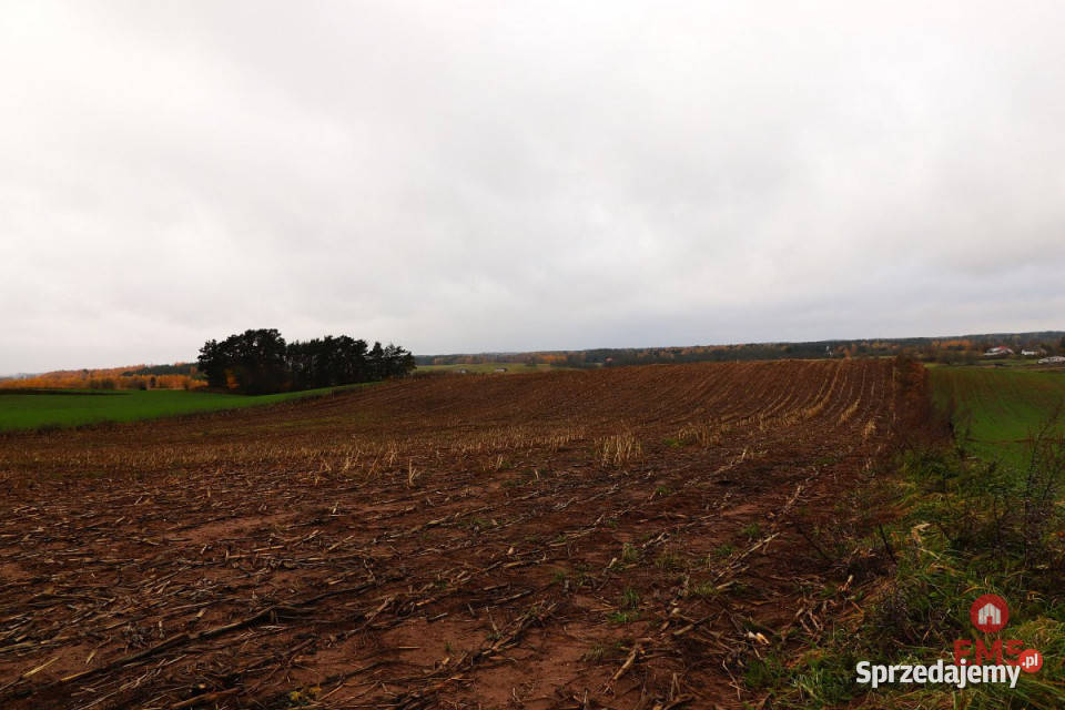 Działka 12000m2 Żegary utwardzona podlaskie