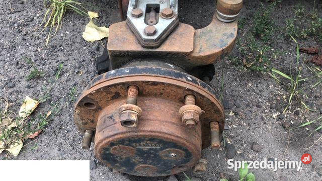 Carraro 2620 Szpilki wielkopolskie