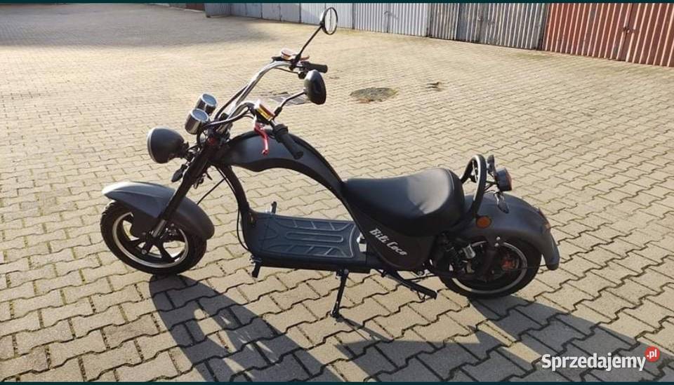 Mademoto Cobra Szczecin