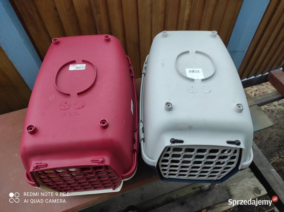 transportery kotów 2 dolnośląskie Lubin