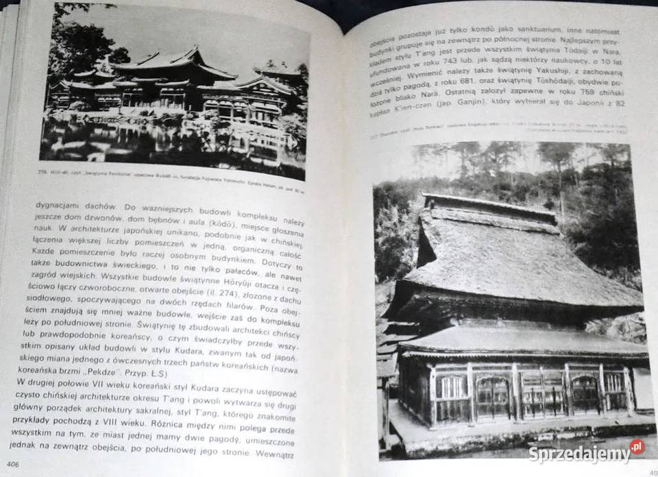 Sztuka egzotyczna Michał Sobeski twarda Chełm