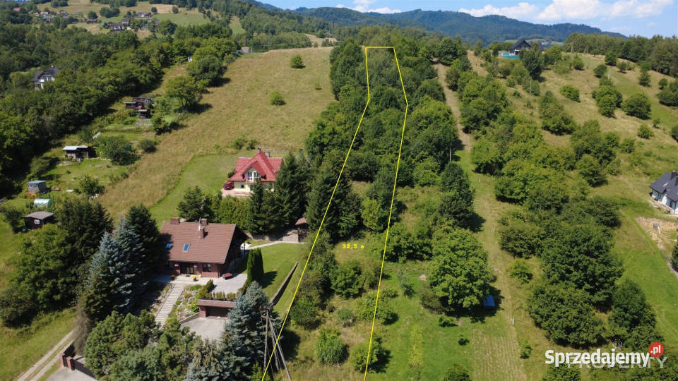sprzedaży gruntu PiwnicznaZdrój 3250m2 Piwniczna-Zdrój