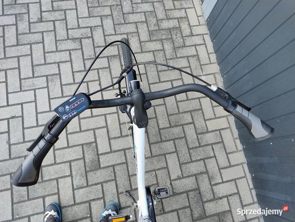 Rower elektryczny Fischer EcoLine ECU 1403 28 Głogówek