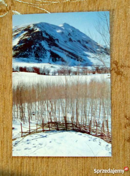 WIDOK ZIMOWY NA GÓRY W KURDYSTANIE lubelskie Piszczac